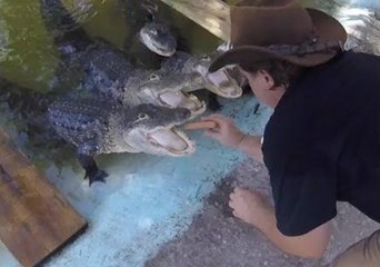 These Gators Are Ready to Take on Competitive Eaters in Food Challenge