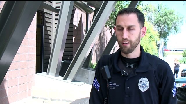 Kitten with Rabies Bites Woman at Colorado Park