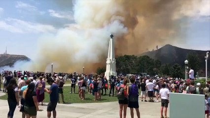 Wildfire Starts Near California's Griffith Observatory