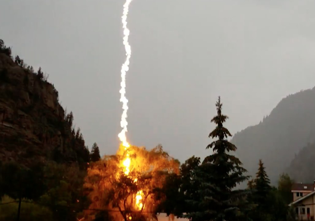 Lightning Bolt Strikes Tree in Front of Colorado Home