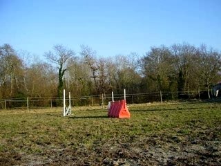 W au trot en cordelette