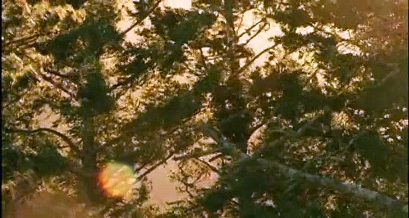 Most Evil S01 E05