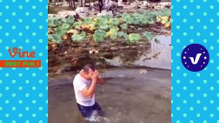 Funny Videos 2018 ● People doing stupid things compilation P2