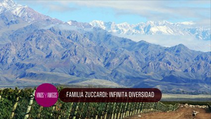 Vinos y Amigos Programa 200 Bloque 3