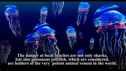 TOP10 Dangerous Beaches In The World 2019