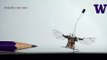The first wireless flying robotic insect takes off