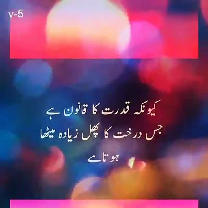 Great words In clip