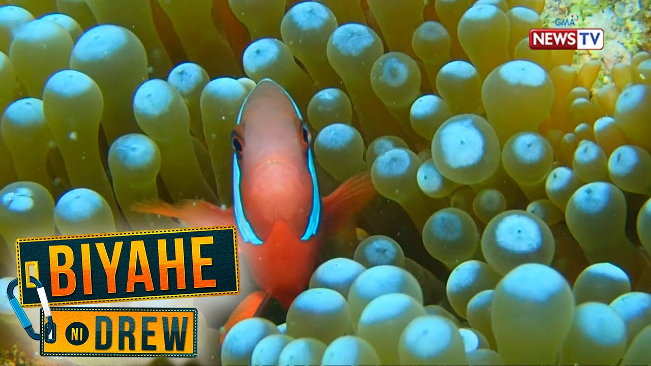 Biyahe ni Drew: Travel galore in Siquijor