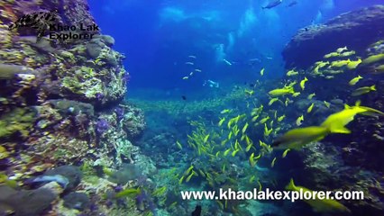 Khao Lak Explorer