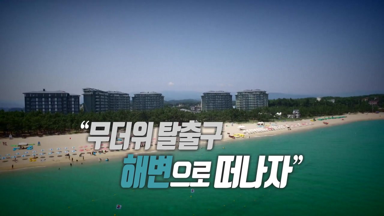 [통통영상] 무더위 탈출구 해변으로 떠나자 / YTN