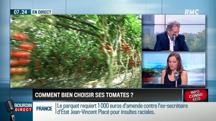 Dupin Quotidien : Comment bien choisir ses tomates ? - 12/07