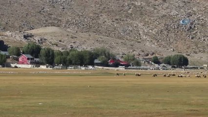 1856 Rakımlı Yaylada Taş Üstünde Sinyal Avı