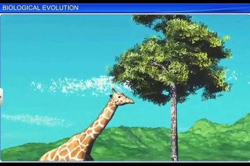(5)CBSE Class 12 Biology, Evolution - 5, Biological Evolution
