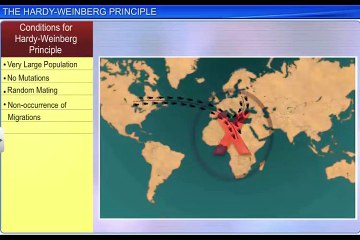 (6)CBSE Class 12 Biology, Evolution - 6, The Hardy-Weinberg Principle