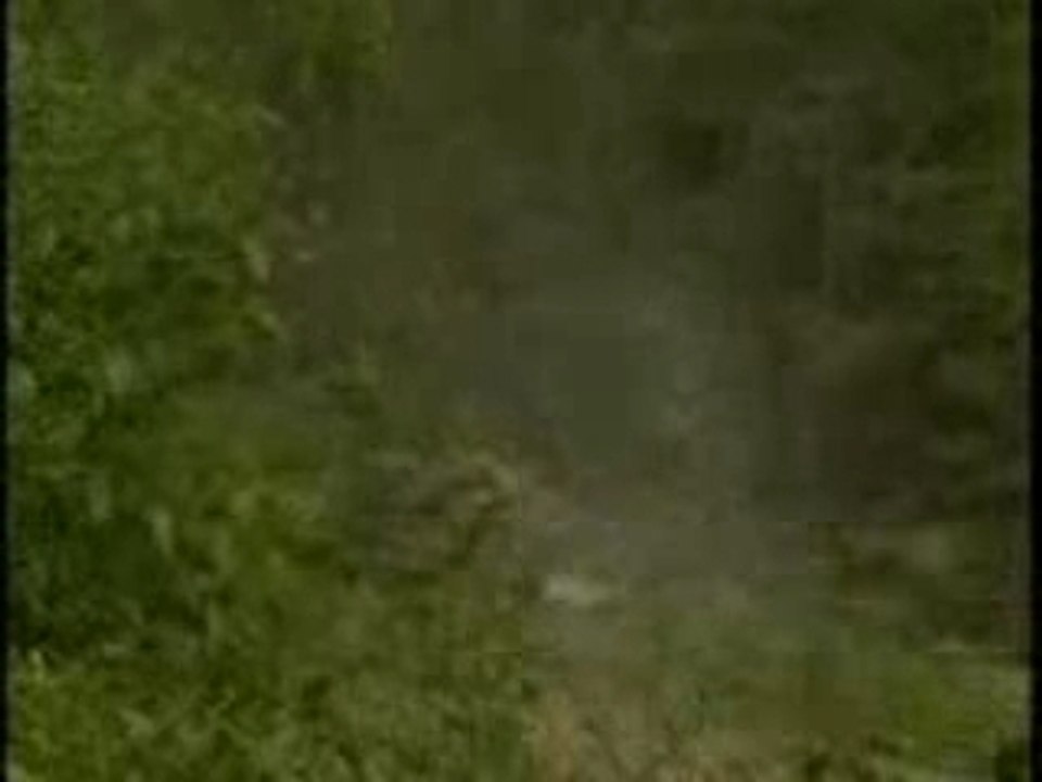 Vilcaans_Subaru