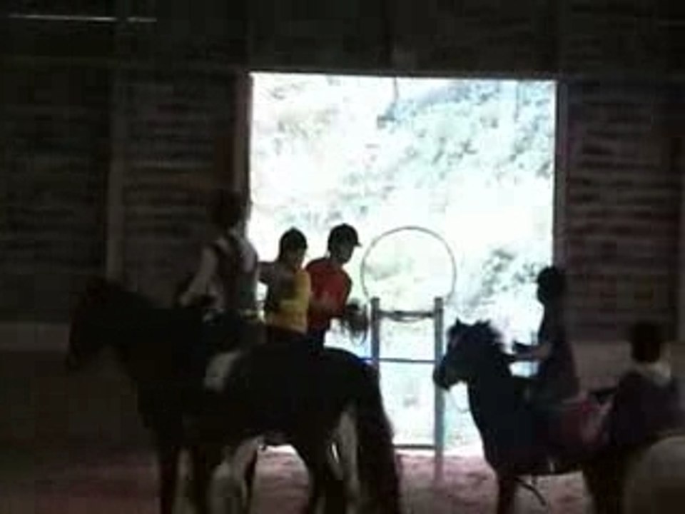 Etoile, horse ball 2