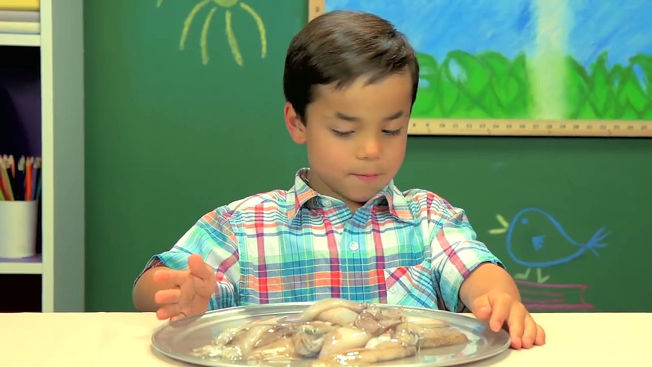KIDS vs. FOOD #12 - SQUID