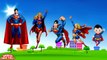 SUPERMAN Finger Family | Superman Finger Family Songs Nursery Rhymes Lyrics for Childrens