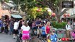 The Dominguez Tree in Adventureland Disneyland Secrets and History
