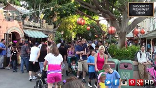 The Dominguez Tree in Adventureland Disneyland Secrets and History