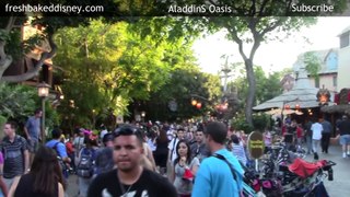 Aladdins Oasis Disneyland Hacks