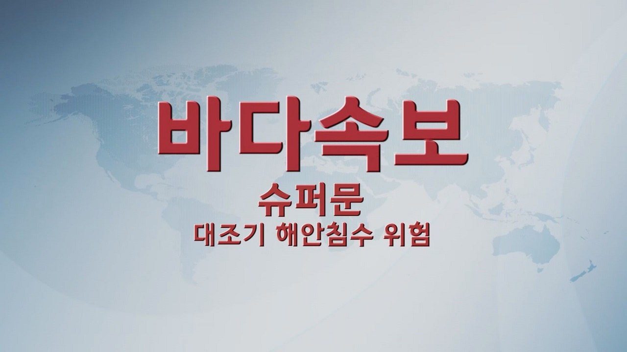[바다속보]  슈퍼문 대조기 태풍의 영향 더해져 빠르면 12일부터 높아져 해수면 침수 주의 / YTN