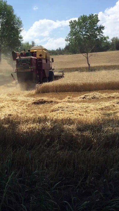 Çorum İli, Alaca İlçesi, Değirmendere Köyünde 2018 yılı harman sezonu açılmıştır.