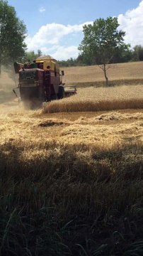 Çorum İli, Alaca İlçesi, Değirmendere Köyünde 2018 yılı harman sezonu açılmıştır.