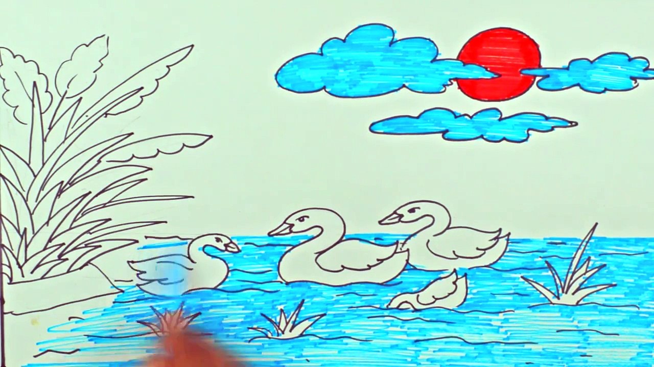 Draw a Scenery of Swan Duck Step by Step - Draw Easy Scenery With Pond Duck - Coloring Page for Baby