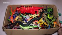 Big Toy Box: Dinosaurs, Dragons, Wild Animals and More!