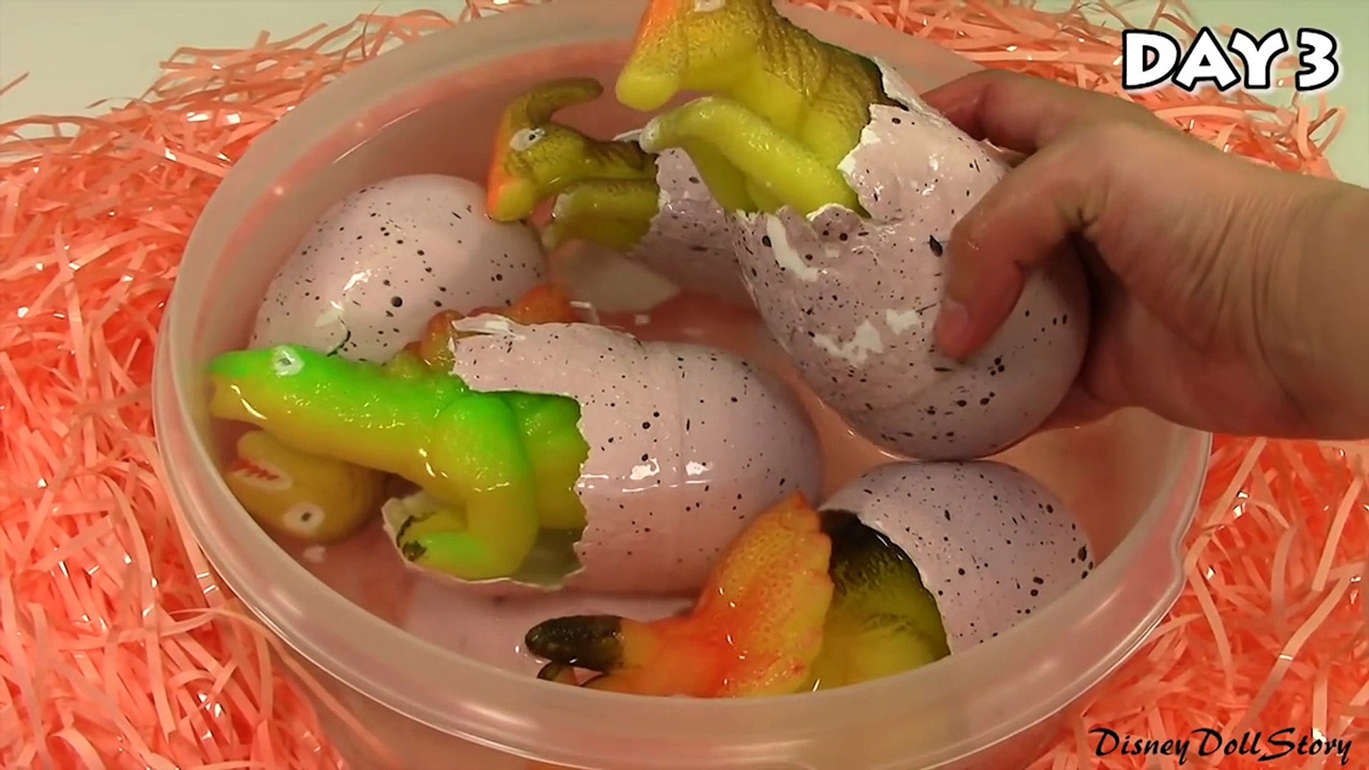 dino world megga grow egg