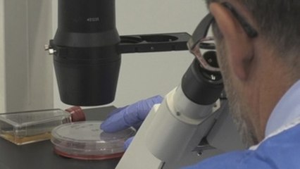 Los anticuerpos de los supervivientes del ébola marcan el camino hacia una vacuna