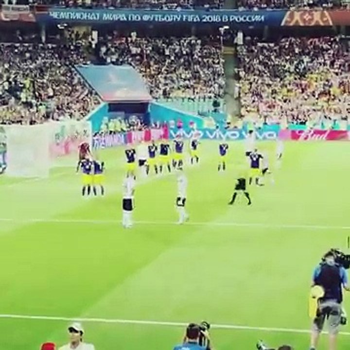 kroos goal vs sweden world cup fans