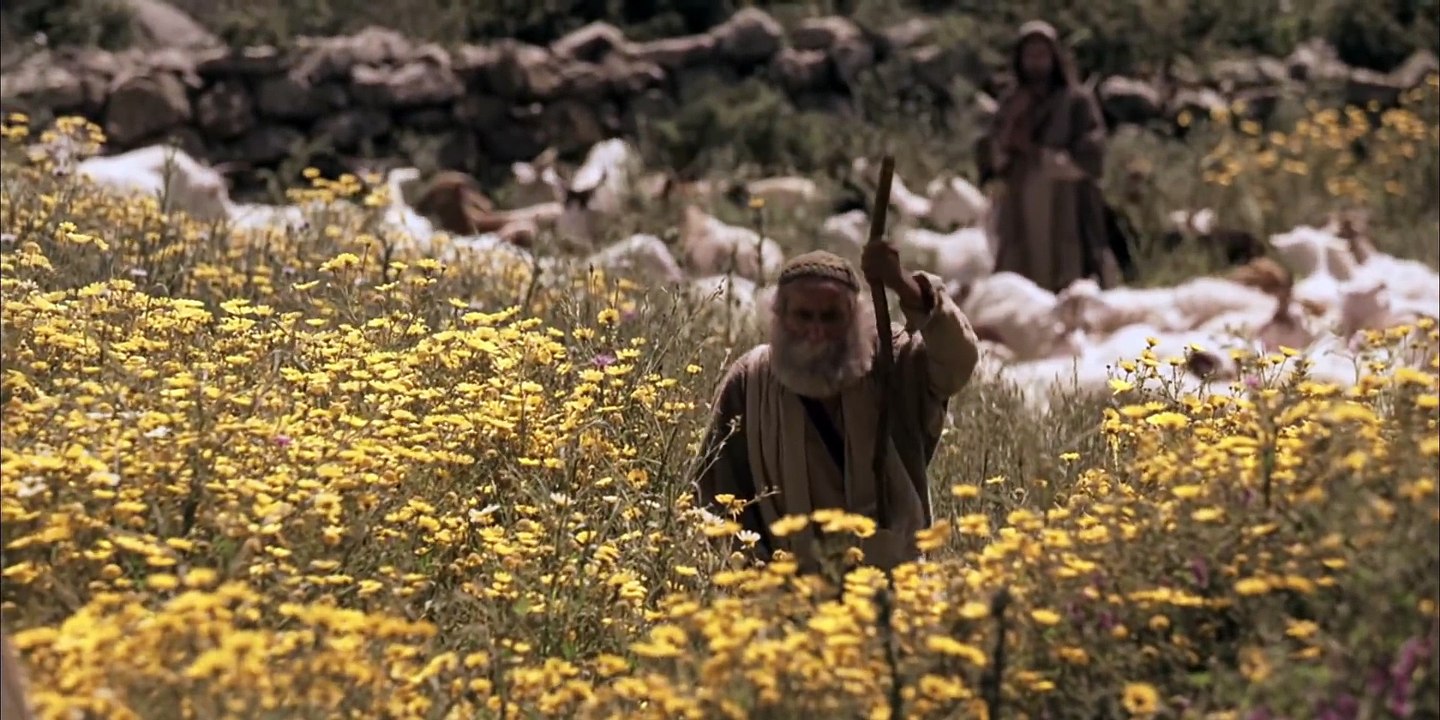 Parables of Jesus The Parable of the Lost Sheep