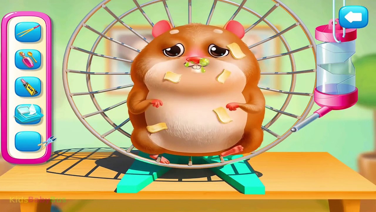 Kids Play & Care For Adorable Pets, Dress Up, Take a Hilarious Photo, Care Game For Kids & Family
