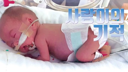 [자막뉴스] 생존 확률 1% '302g 초미숙아' 사랑이의 기적 / YTN