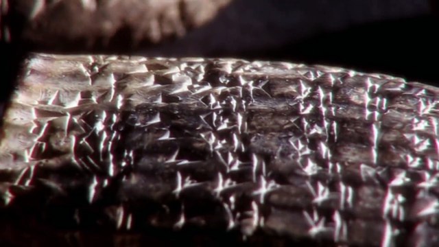 Lost Worlds Forgotten Empire Ancient History Documentary Timeline