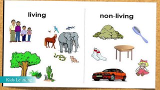 Living and Nonliving Things - Lesson for kids new