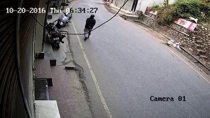 Leopard picks up dog in Himalayan town