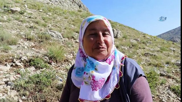 1856 Rakımlı Günnercik Yaylasında Taş Üstünde Sinyal Avı