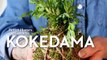 Kokedama is a centuries-old garden form, and you can make your own in just 3 easy steps:  Follow  adeMade by Me for more easy-to-make projects!