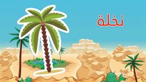 تعليم اللغة العربية للأطفال | كلمات و جمل 3 | الحروف العربية للأطفال | سوبر جميل | النخل و التمر