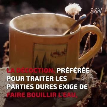 Comment peut-on tirer les vertus thérapeutiques des végétaux ?