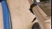 Carpet Steam Cleaning in Myrtle Beach | Beach Walk Cleaning Services