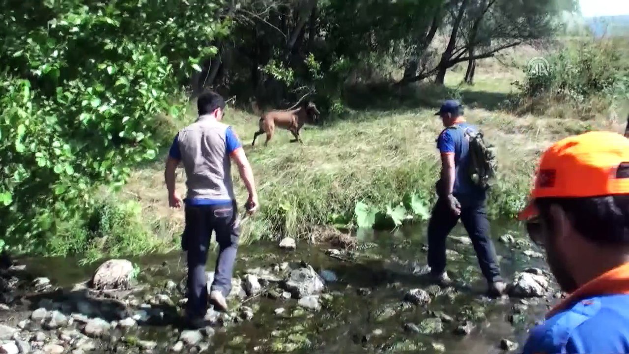 Eylül'ü bulan 'Abrek' Evrim'i de arıyor - TOKAT