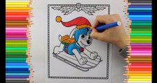 Paw Patrol Zuma Coloring Page - New Coloring Book Paw Patrol Zuma