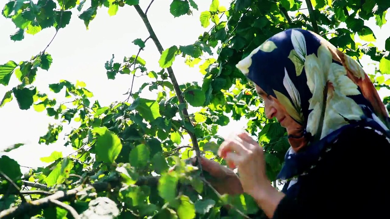 Küçük Bir Köyden Çıkan Kocaman Bir Hayal