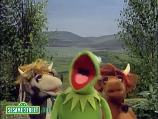 Sesame Street: Do-op Hop With Kermit