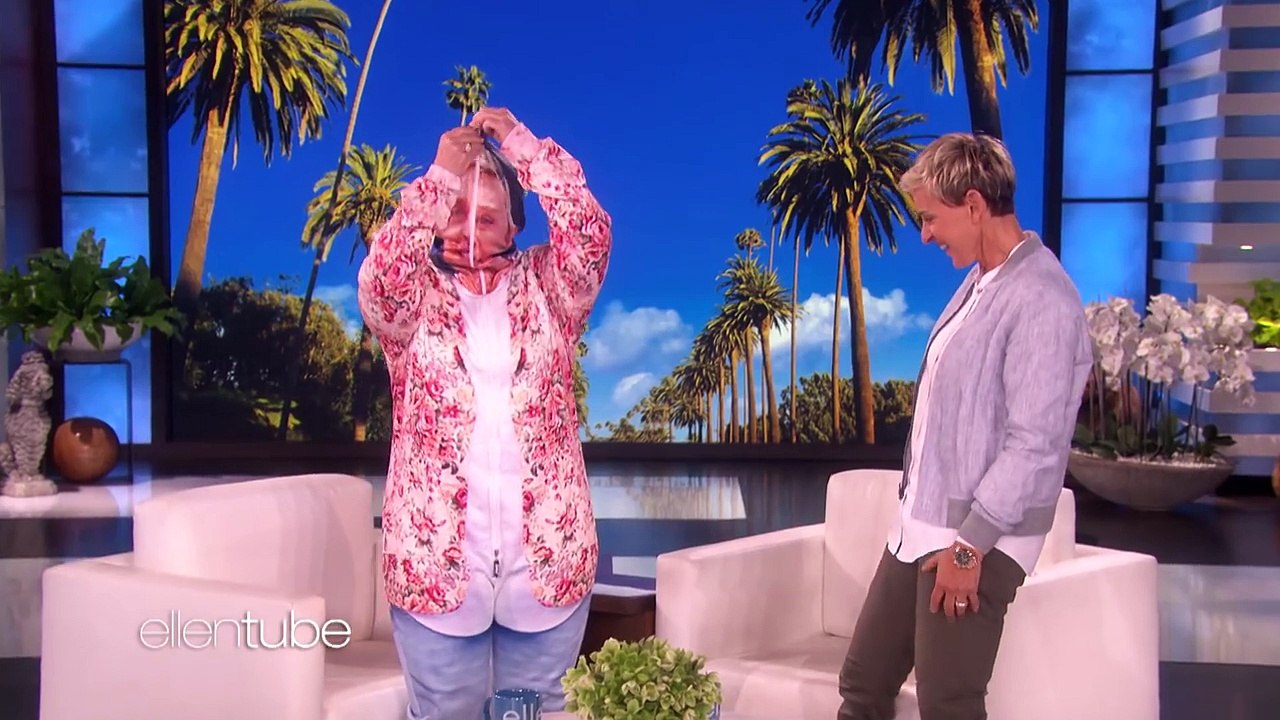Melissa McCarthy Unveils Her Tiny Hat Character Diane