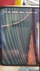 Cả cộng đồng mạng vào cuộc để truy bắt 2 tên trộm Malinois quý này